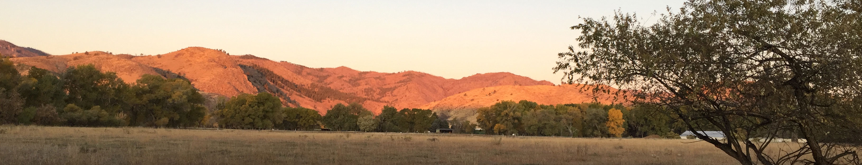 Dutch George Campground